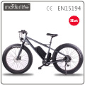 Marque MOTORLIFE / OEM VENTE CHAUDE 36v 250w / 48v 1000w vélo électrique guangzhou, gros vélo électrique, neige ebike